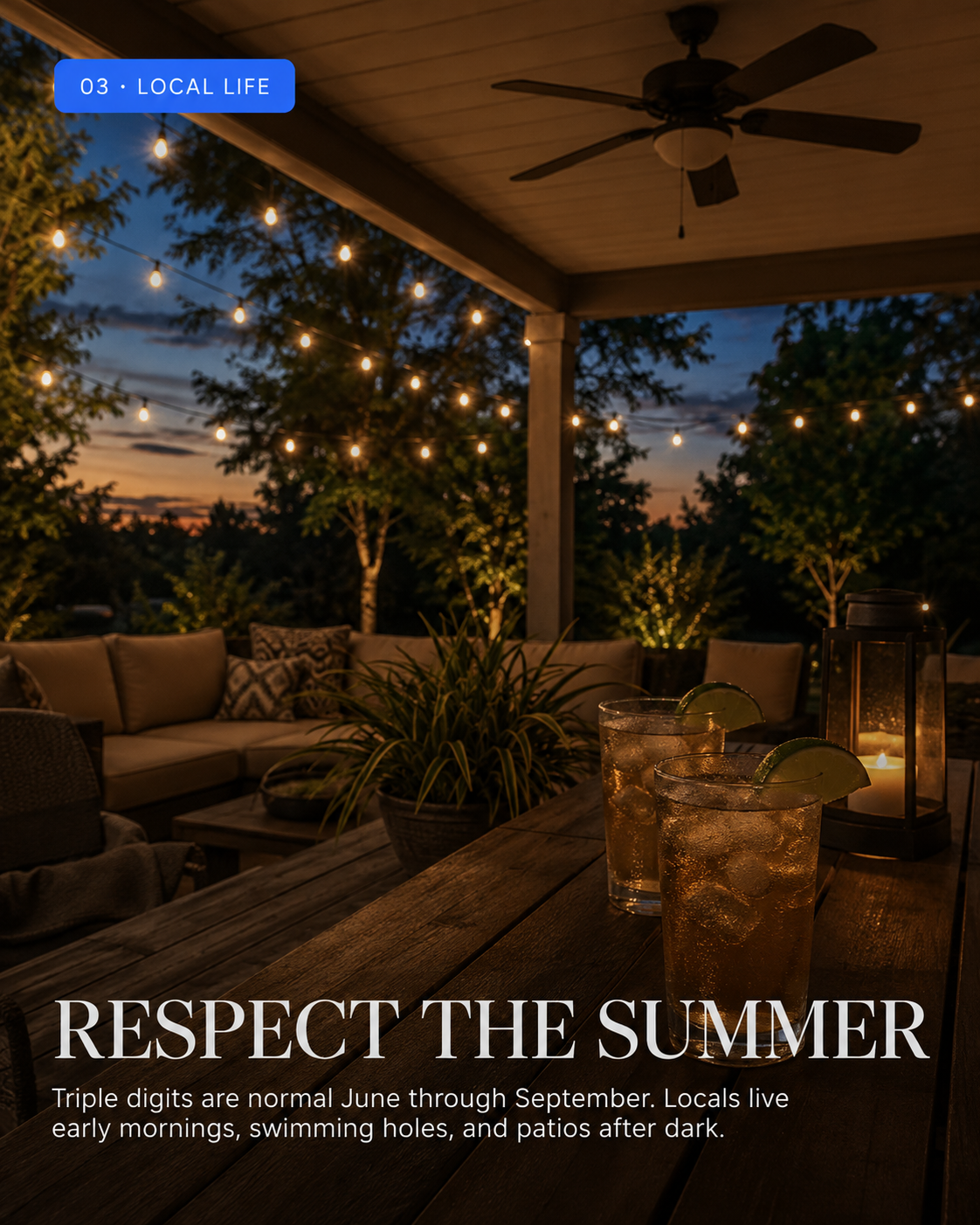 The Newcomer's Guide — Local life